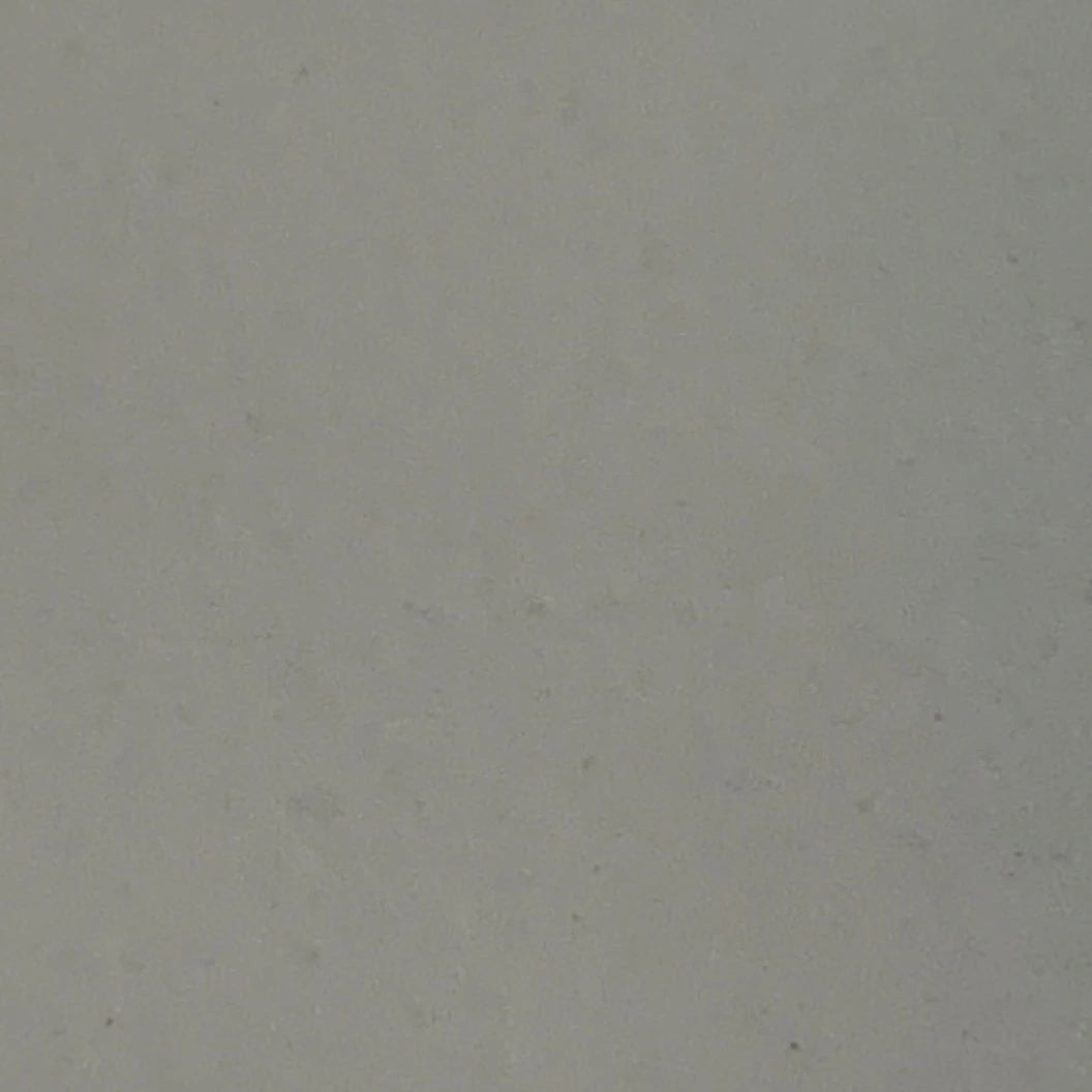조우안신