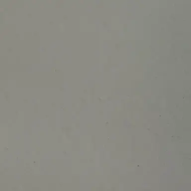 Profile image of 정상현