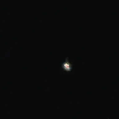 Profile image of 전다은
