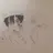 8대 불가사의