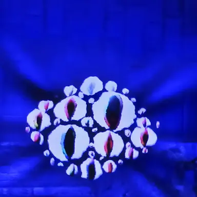 Profile image of 아이즈