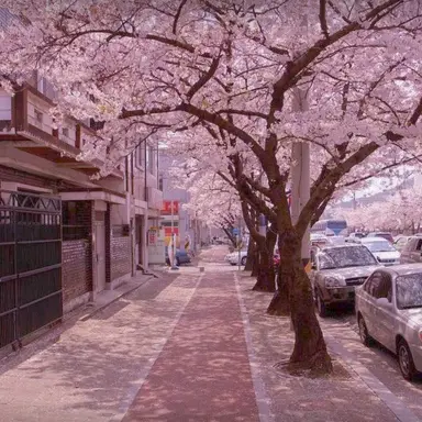Profile image of 서라더