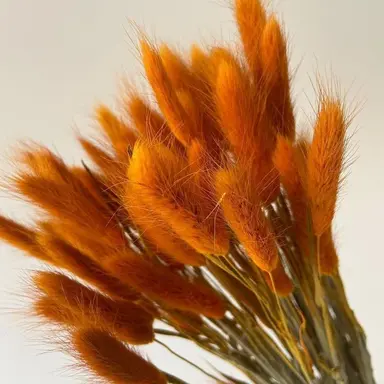 Profile image of 박덕개