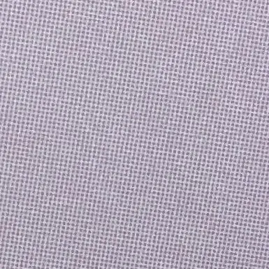 SureFart5001의 失われた約束