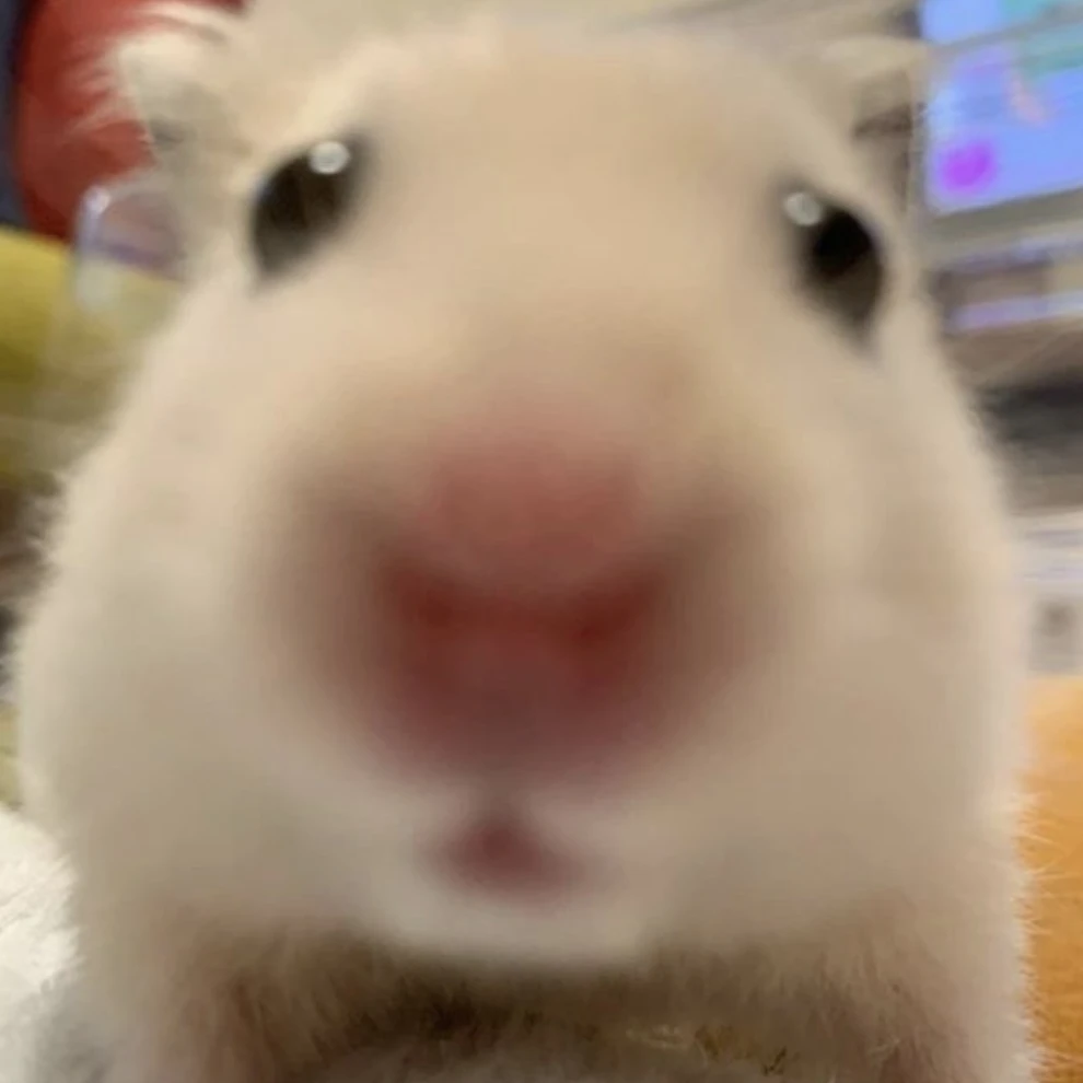 햄찌
