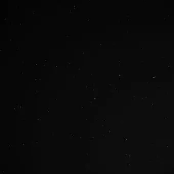 lynds의 테러리스트와 만났습니다..?