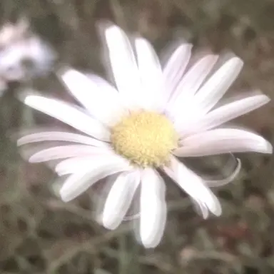 Profile image of 준브