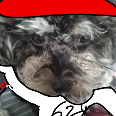 Profile image of 유기사