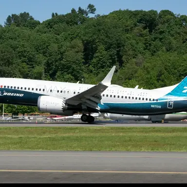 Profile image of Boeing 737 MAX