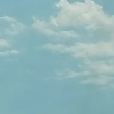 Profile image of 박잠뜰