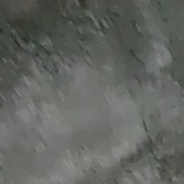 똥침관장님