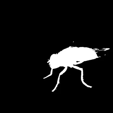Profile image of 벨제부브