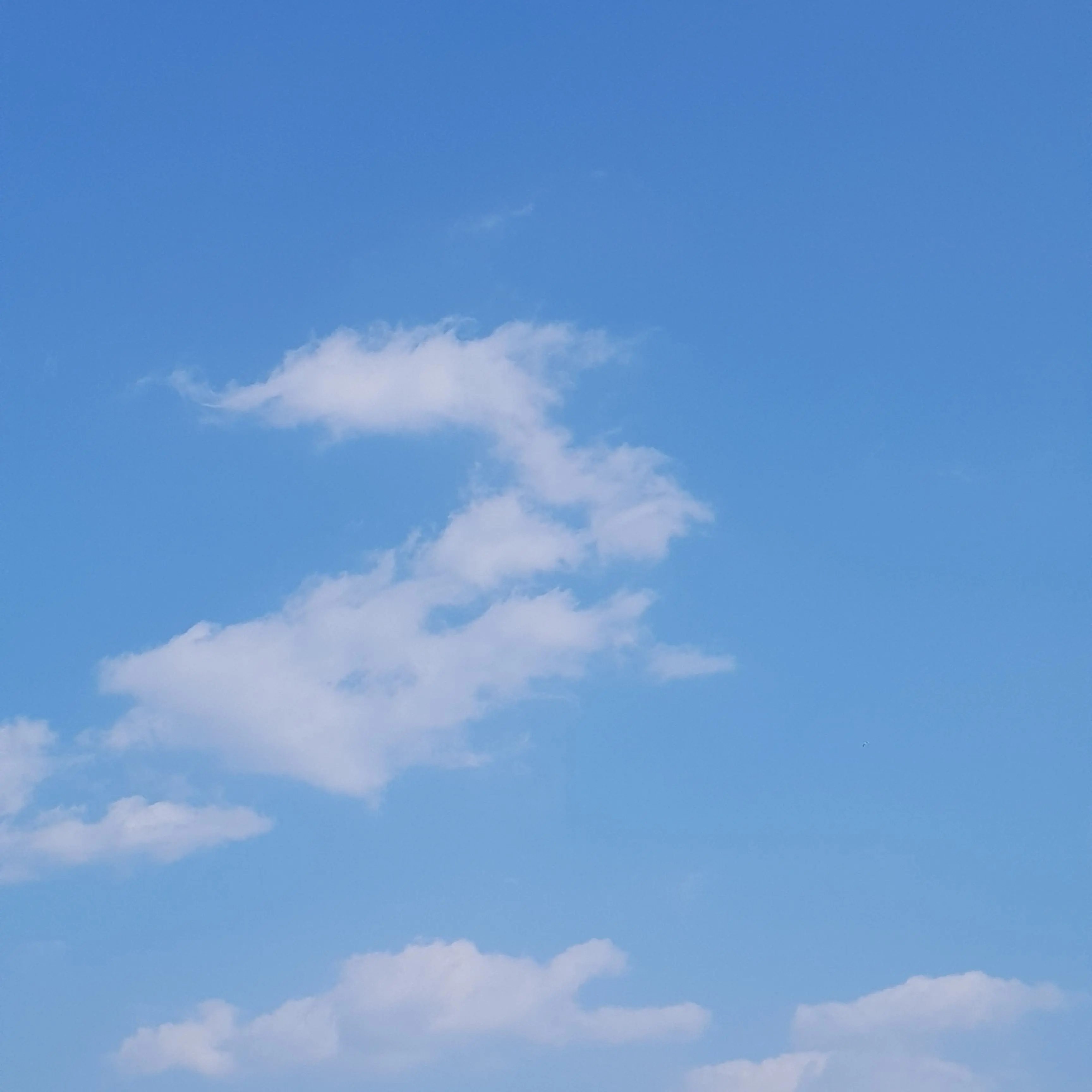 LonelyRadio6229의 철벽남 무이치로(처음 여우)