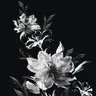 Profile image of 星導