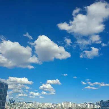 Profile image of 손시우