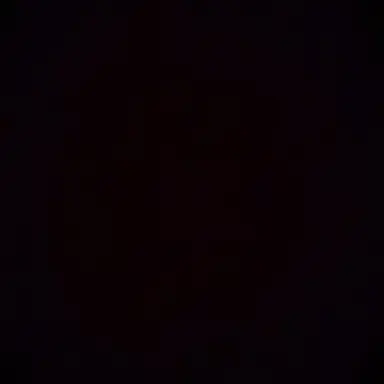 Profile image of Dominic Volkov