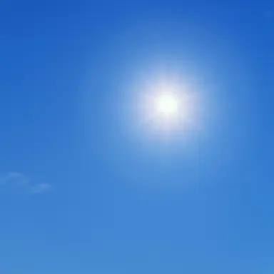 Profile image of Apollo