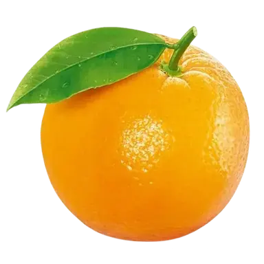 Profile image of 시청자들