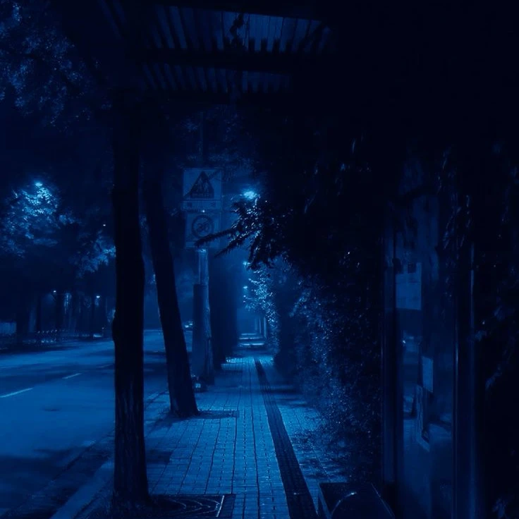 정공룡