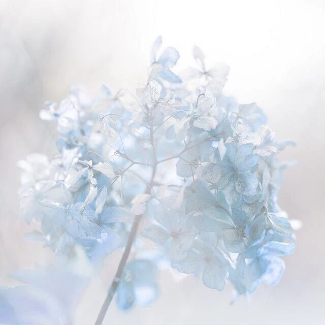 박잠뜰