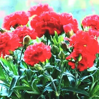 Profile image of 서라더