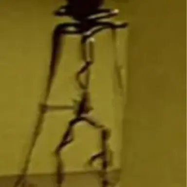 Profile image of ハウラー