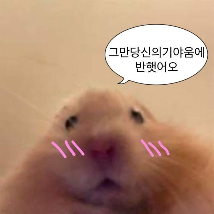 김민정 대표 이미지