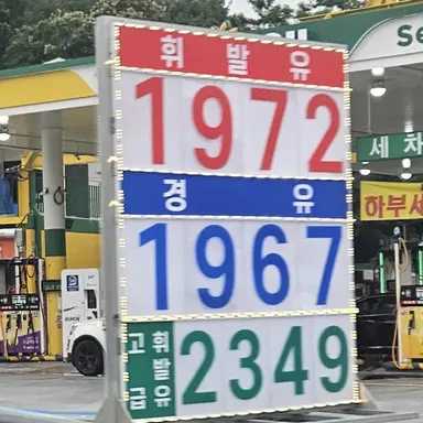 Profile image of 여우