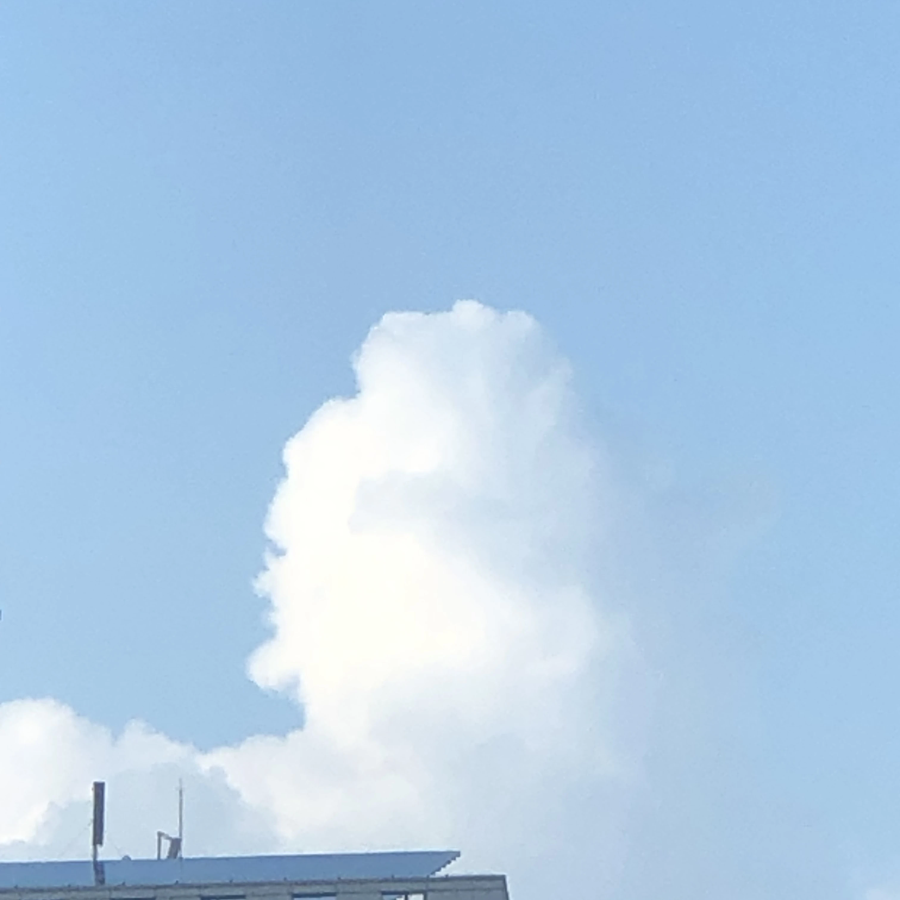 강한율