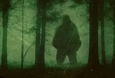 Profile image of MONSTER BREEDING