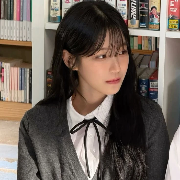 백지헌