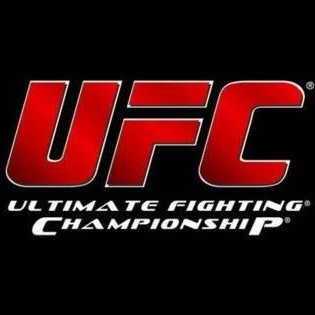UFC 격투기 대표 이미지