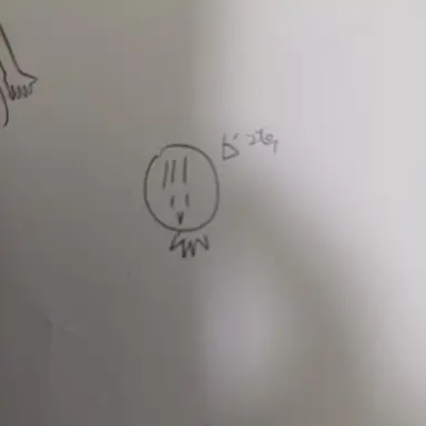 Profile image of 여우