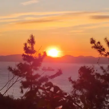 Profile image of 최민호