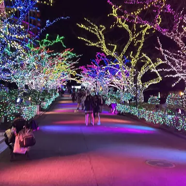 Profile image of 塩﨑太智