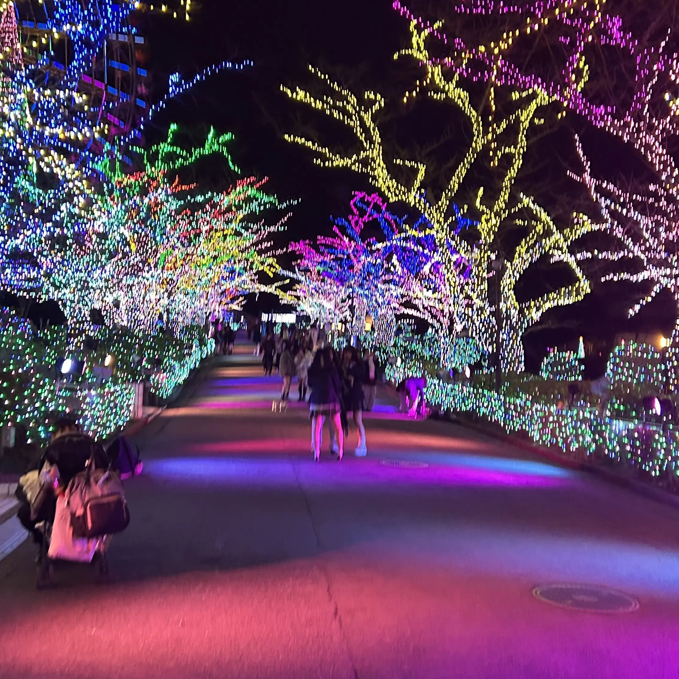 YeastyEider4661의 塩﨑太智