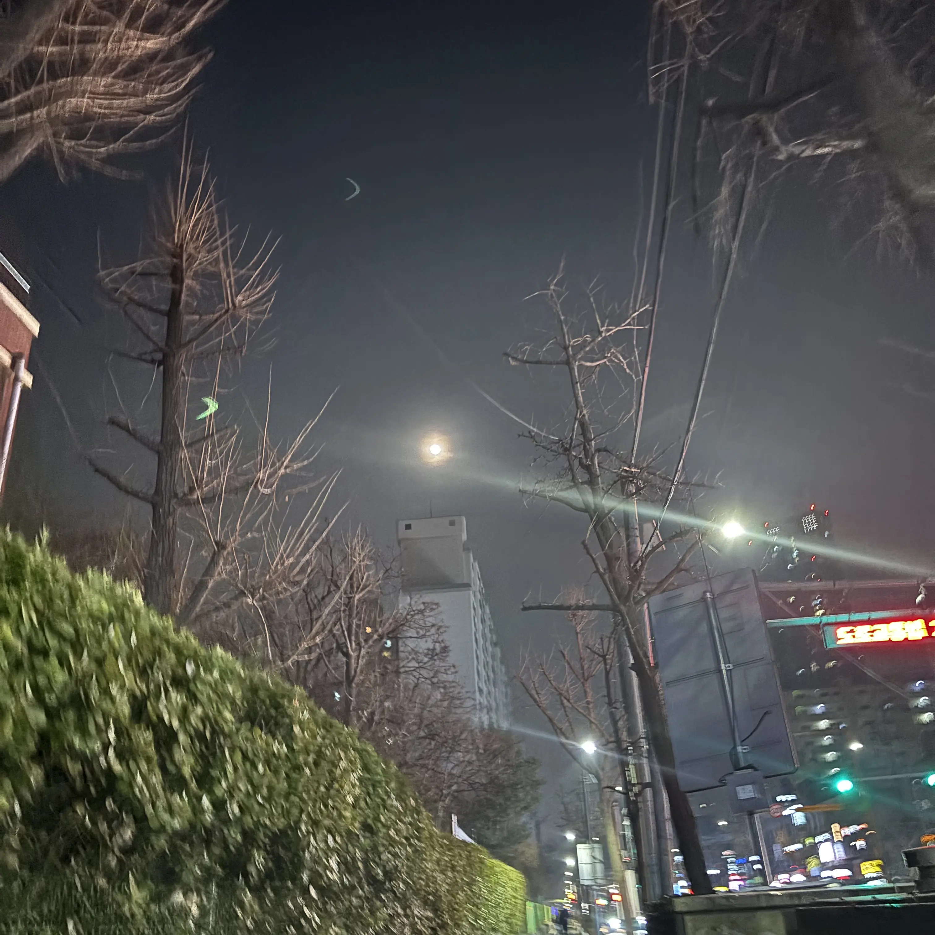 SnugJoke3620의 한유진
