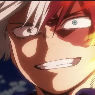 Profile image of Shoto Todoroki