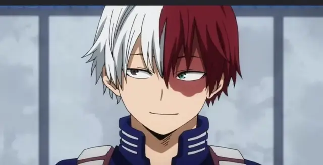 Profile image of Shoto Todoroki