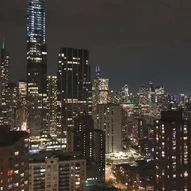 Profile image of The 2000s