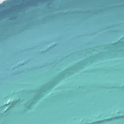 Profile image of 若井滉斗