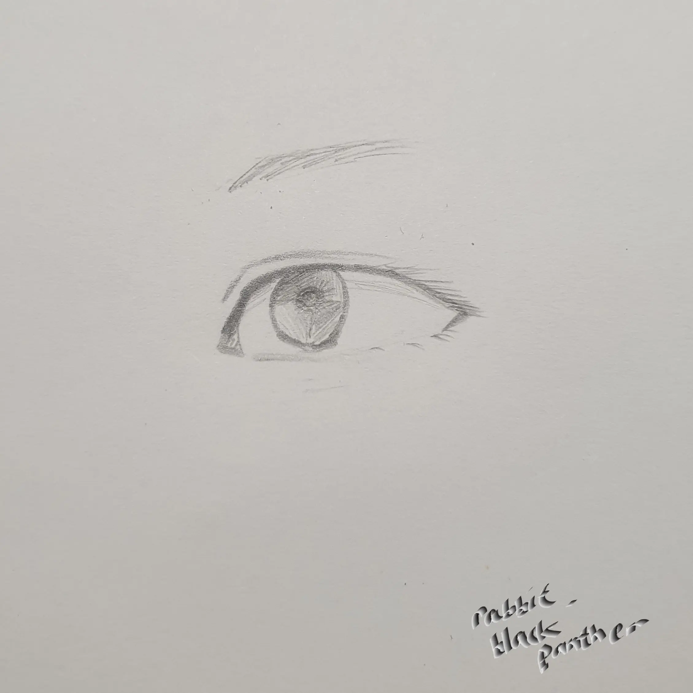 Rabbit_blackpanther의 진다영