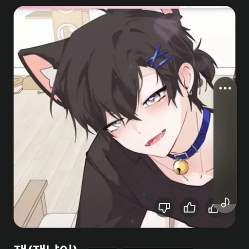 잭냥이