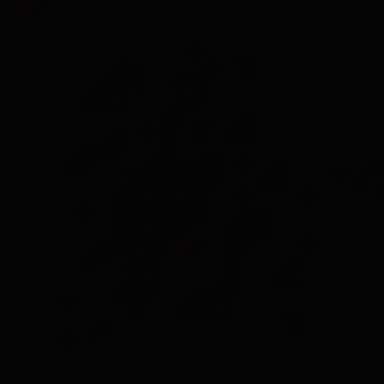 Profile image of 패딩 씨