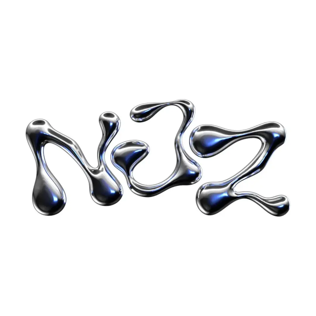 NJZ_NEveR_DiE의 NJZ