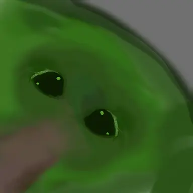 Profile image of 라쿤맨