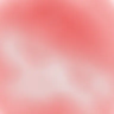 Profile image of 大森