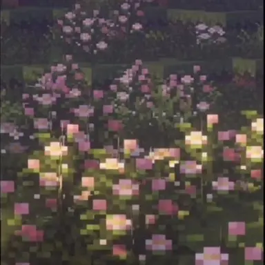 Profile image of 사회자