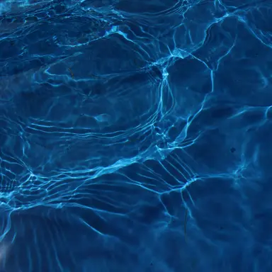 Profile image of 엘리엇