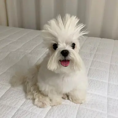 Profile image of 담임 쌤